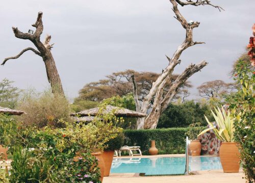 8Days 7Nights: Mara-Nakuru-Naivasha-Mombasa (Mid-Range)